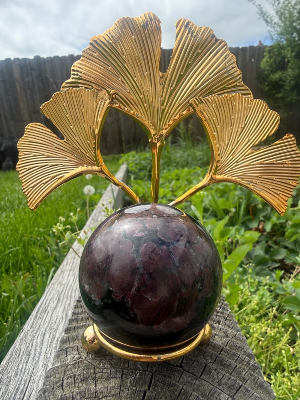 Firework Garnet with Anthophyllite & Gold Ginkgo Leaf Stand